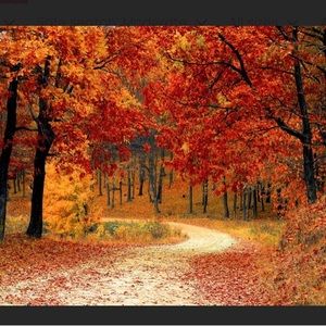 ☂️🌂🍁🍂🦃🧥